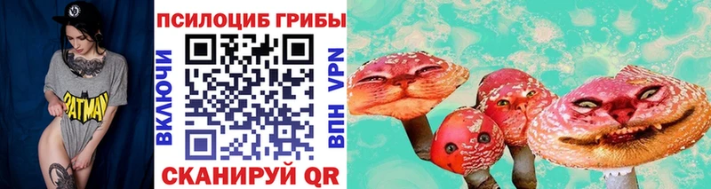 где купить наркотик  Рошаль  Псилоцибиновые грибы Magic Shrooms 